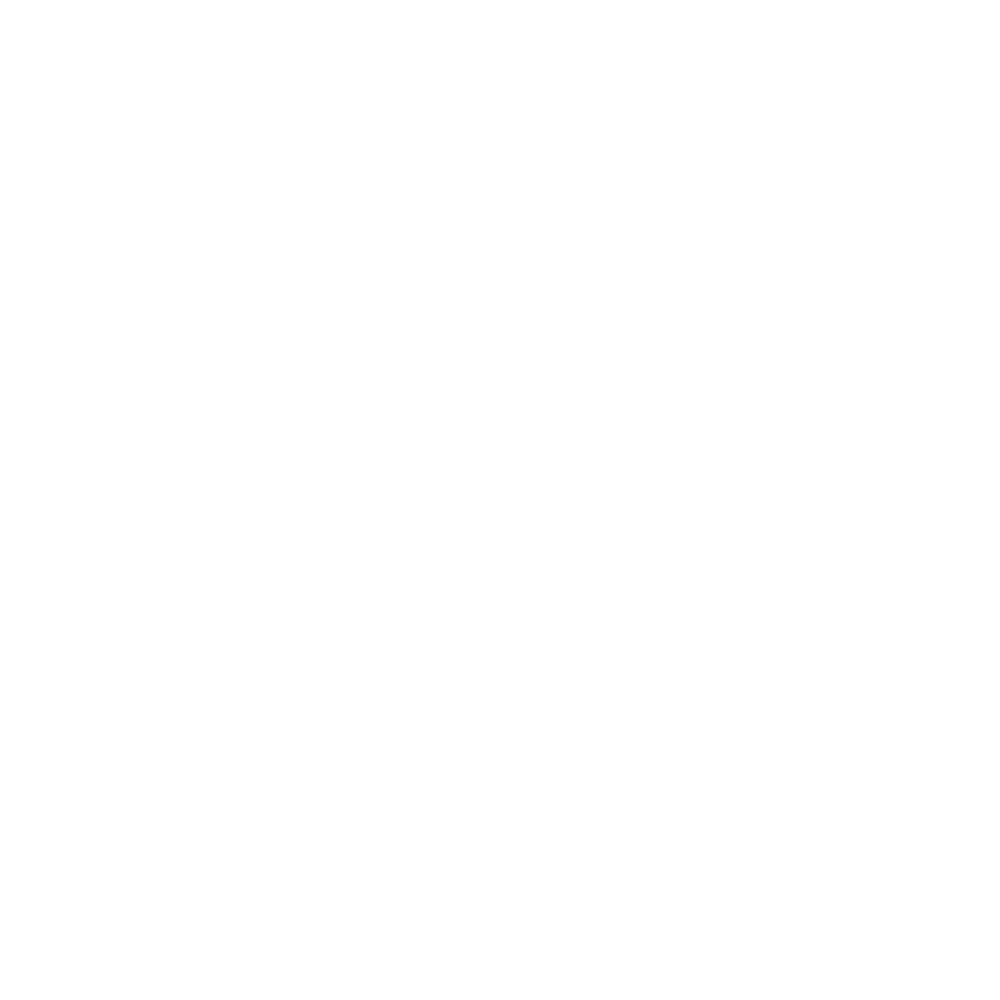 Hunsvotti white logo